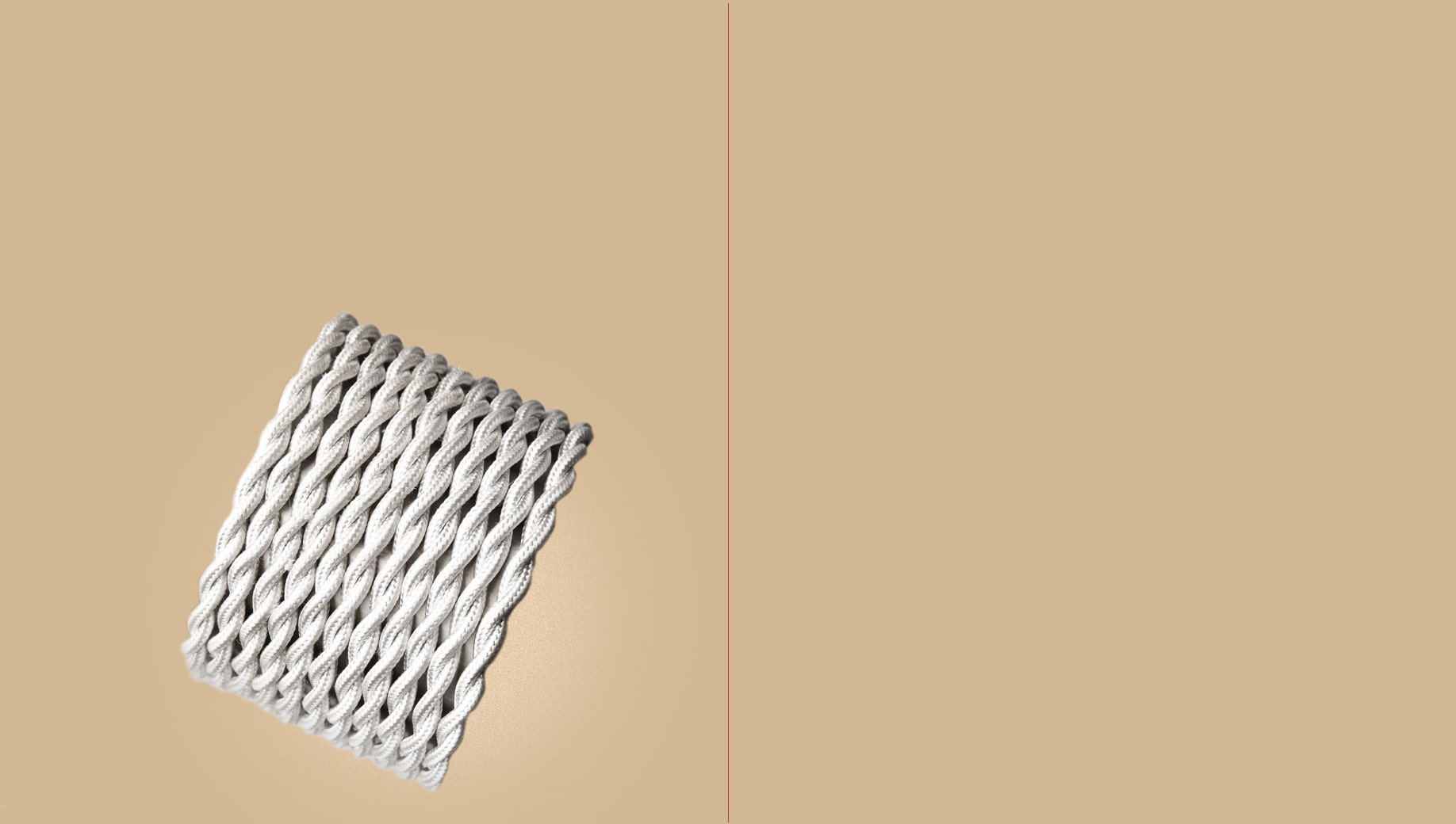 CV1